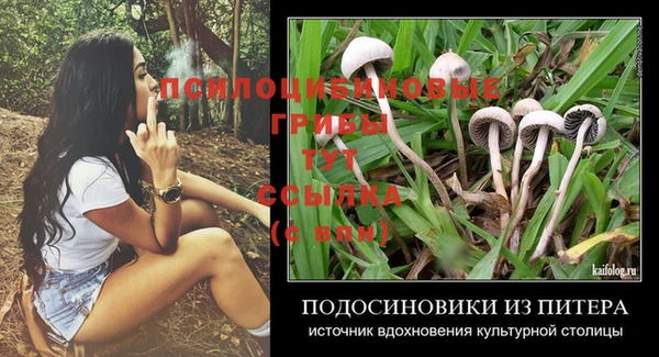 спиды Арсеньев